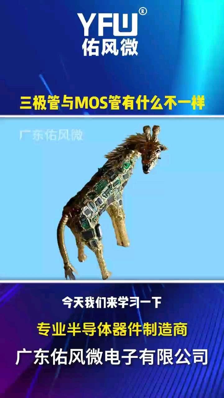 MOSʲôһ