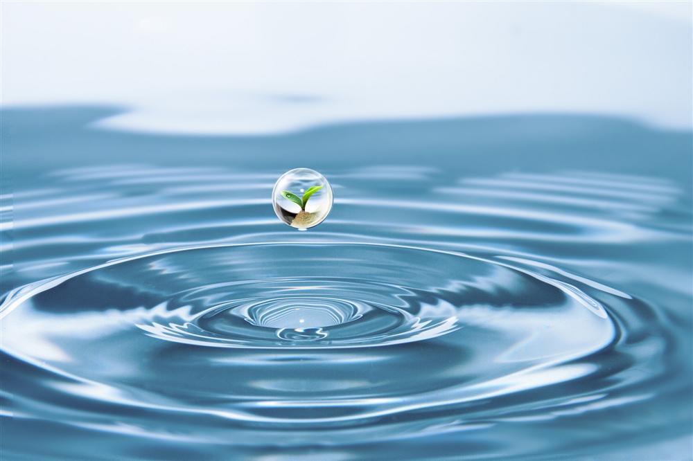 淡水资源占地球水资源的百分比