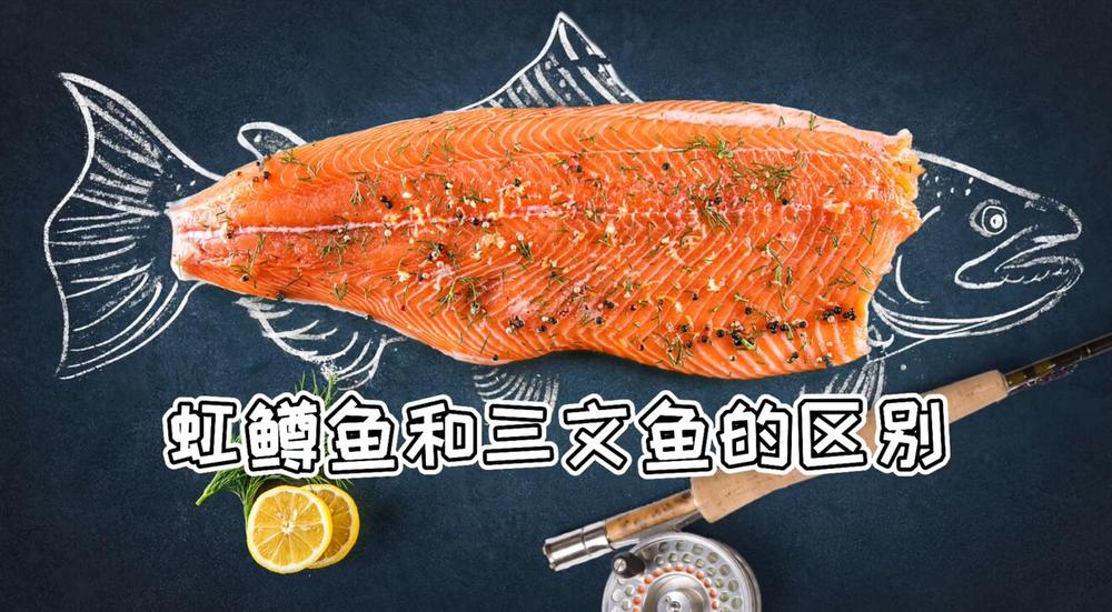 三文鱼跟虹鳟鱼区别图片