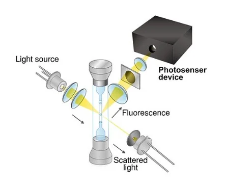 硅光电倍增管 (SiPM) 结构、特性和应用