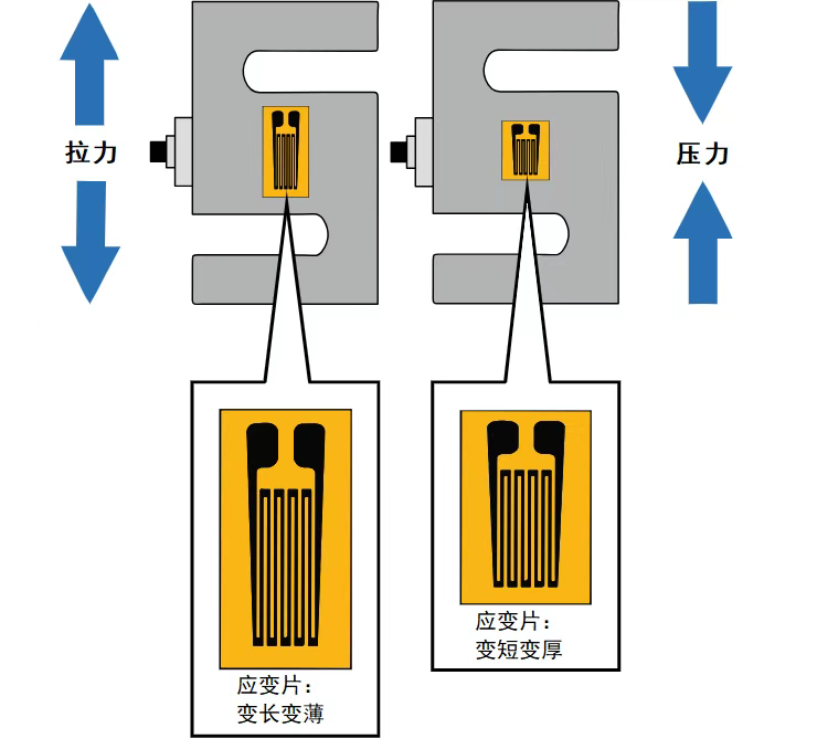 深入了解稱重 / 拉力傳感器：內(nèi)部構(gòu)造與運(yùn)作機(jī)制