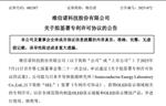 维信诺牵手日本 SEL，获 OLED 显示领域专利许可助力产业发展