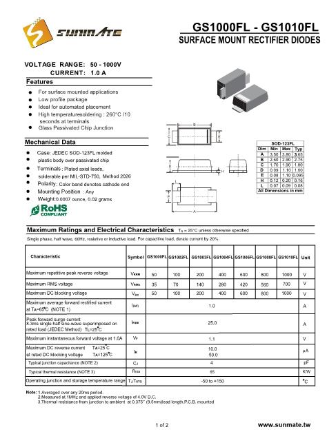 GS1010FL數(shù)據(jù)手冊封面