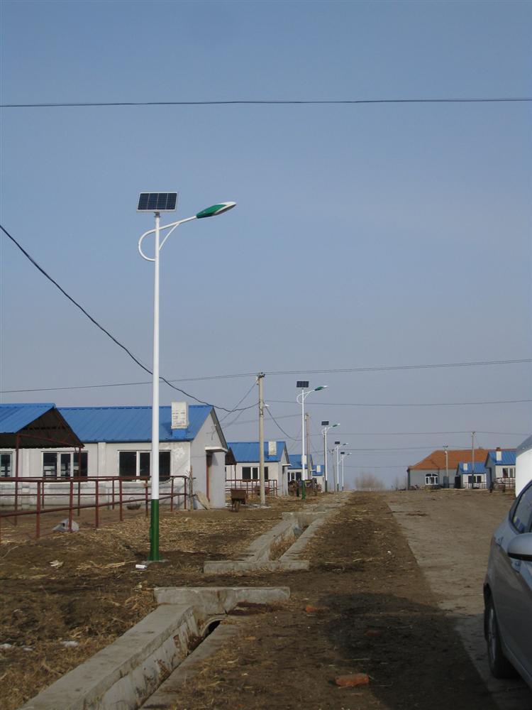 齐齐哈尔新农村建设6米50瓦太阳能路灯批发