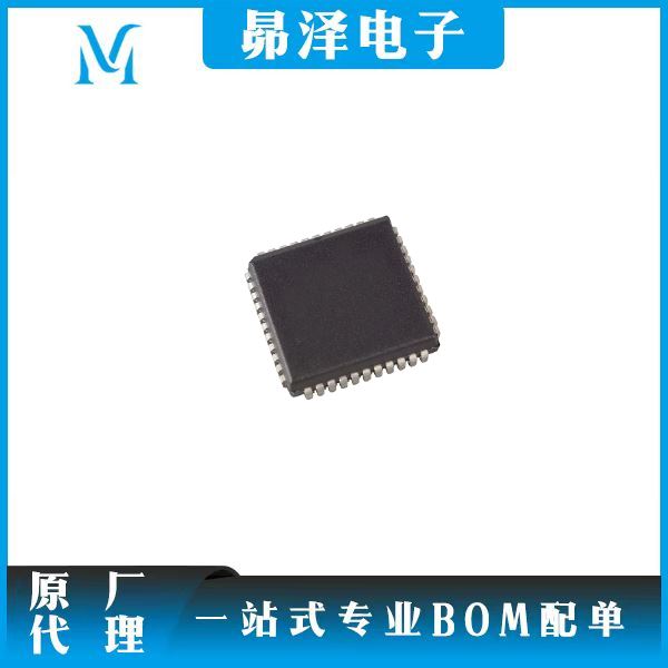 微控制器  Nuvoton  W78E058DPG