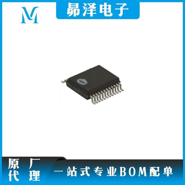 W6811IR  Nuvoton  编解码器