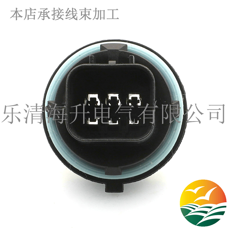 黑色汽車連接器接插件GL011-06025