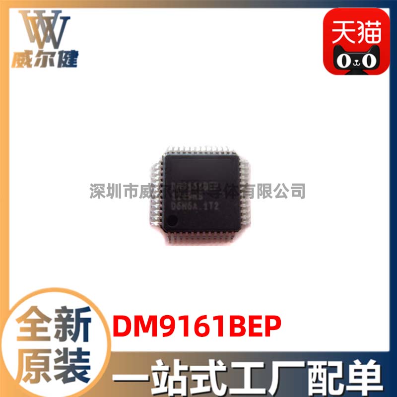 DM9161BEP    DAVICOM   QFP