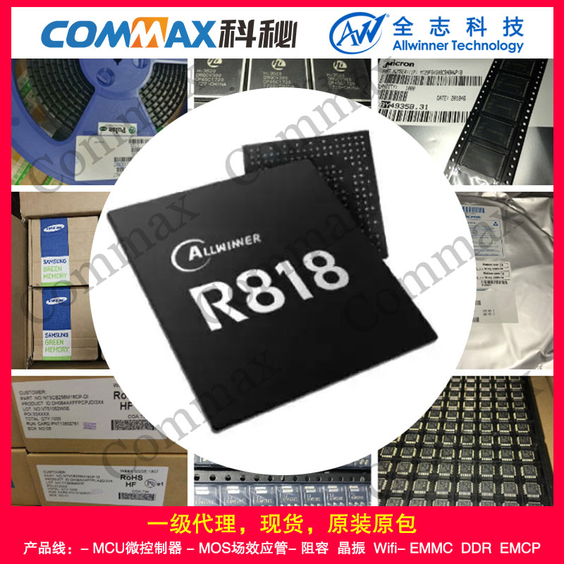 ALLWINNER全志 R818+AXP813 高性能八核智能硬件CPU处理器套片