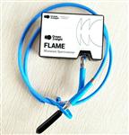 海洋光学Flame-S光纤光谱仪 FLAME-S-VIS-NIR-ES 光谱350-1000nm