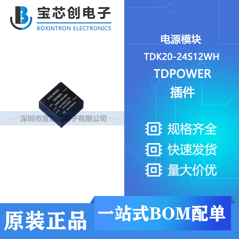 供应 TDK20-24S12WH 插件  TDPOWER 电源模块