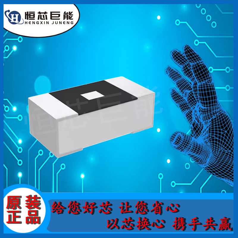 ESR01MZPJ100