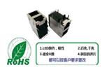  RJ45 2XN系列网络接口