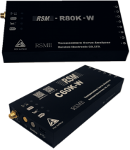 供应涂料食品行业无线炉温测试仪RSM-C60K-W