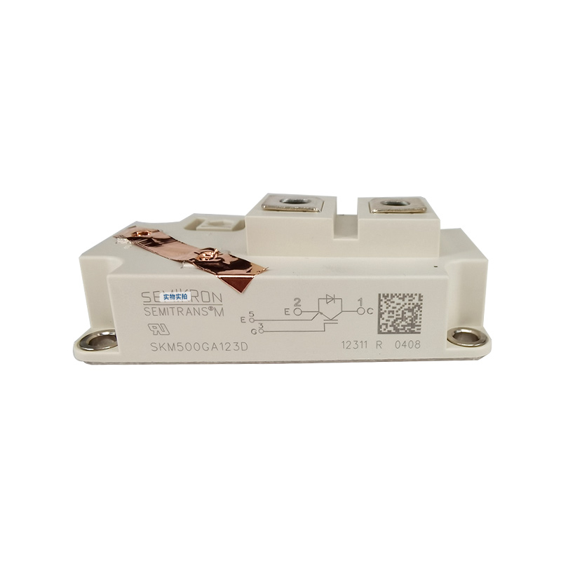 Ƶģ SKM450GB12E4