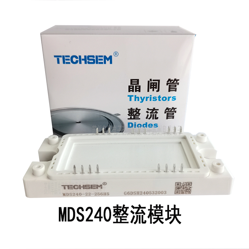 MDS240-20-256H5̨MDS240-22-256H5 TECHSEMģ