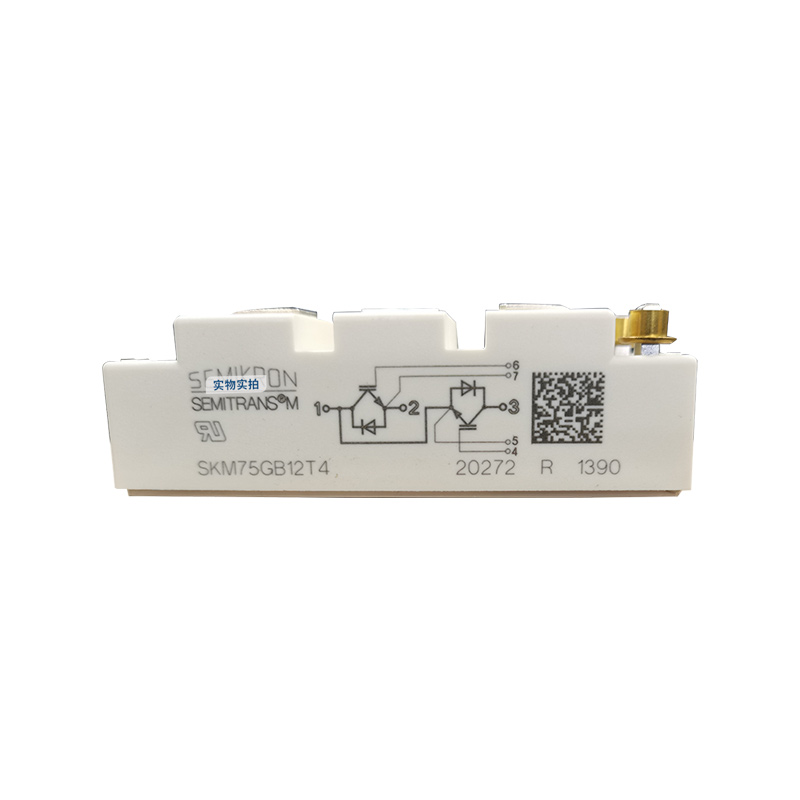 Semikron/ſSKM600GB066DȫIGBT